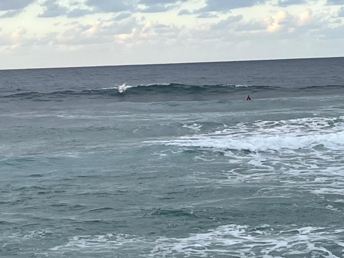 Beach Cabarete Ecolodge De Luxe Maravilla Encuentro Surf, Kite المظهر الخارجي الصورة