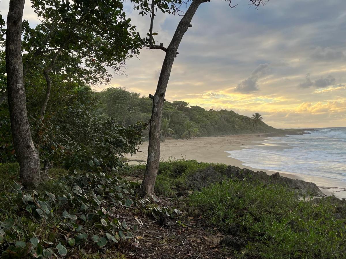 Beach Cabarete Ecolodge De Luxe Maravilla Encuentro Surf, Kite المظهر الخارجي الصورة