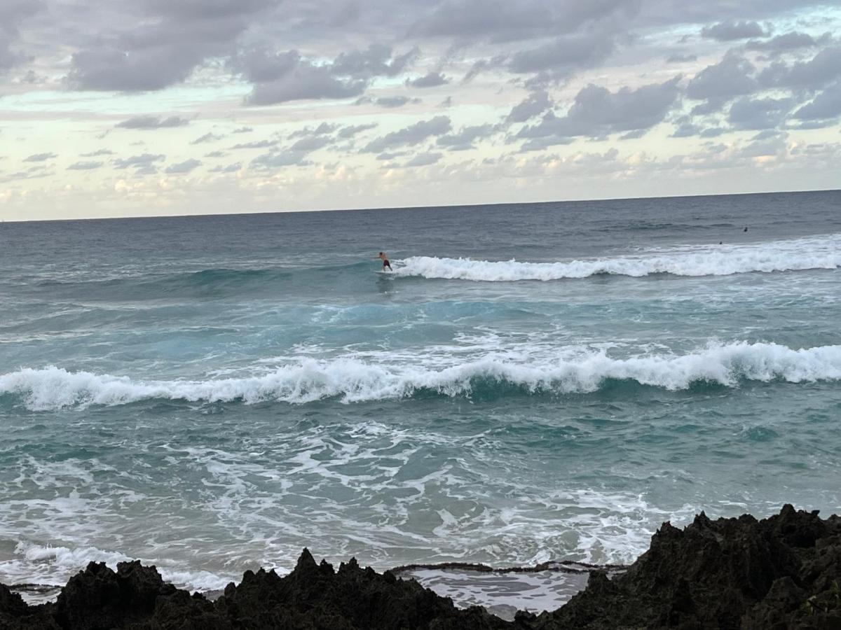 Beach Cabarete Ecolodge De Luxe Maravilla Encuentro Surf, Kite المظهر الخارجي الصورة