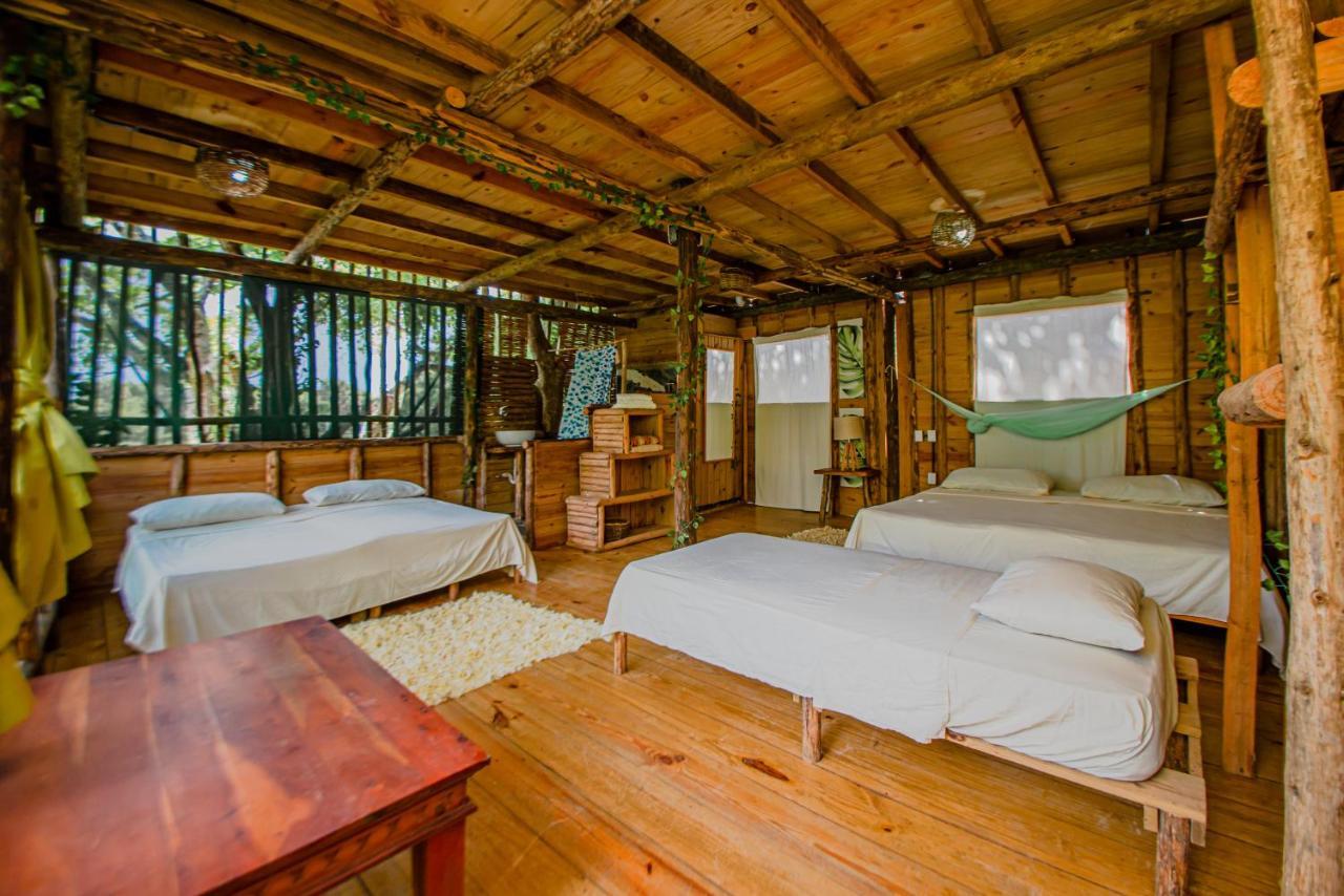 Beach Cabarete Ecolodge De Luxe Maravilla Encuentro Surf, Kite المظهر الخارجي الصورة