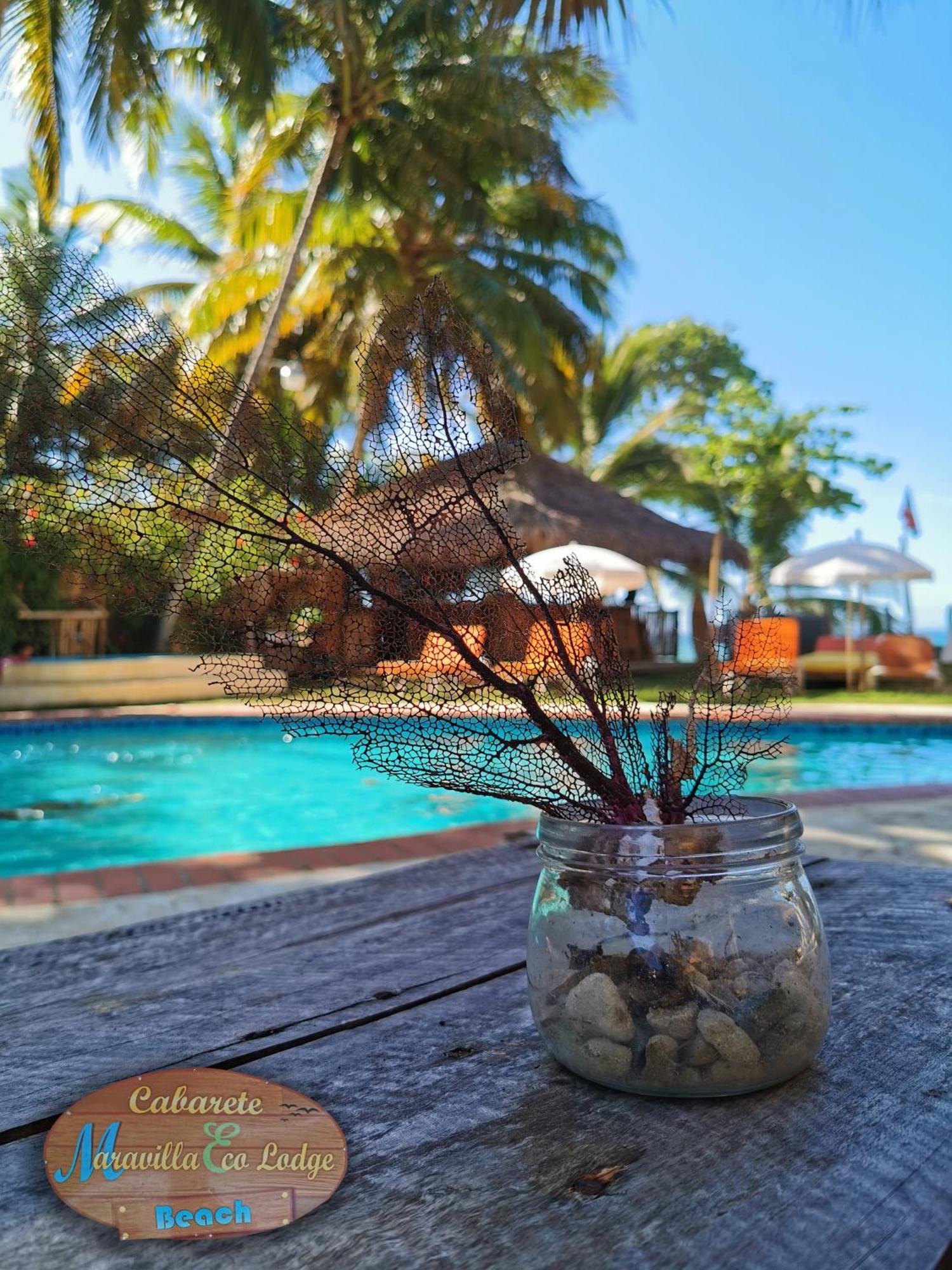 Beach Cabarete Ecolodge De Luxe Maravilla Encuentro Surf, Kite المظهر الخارجي الصورة