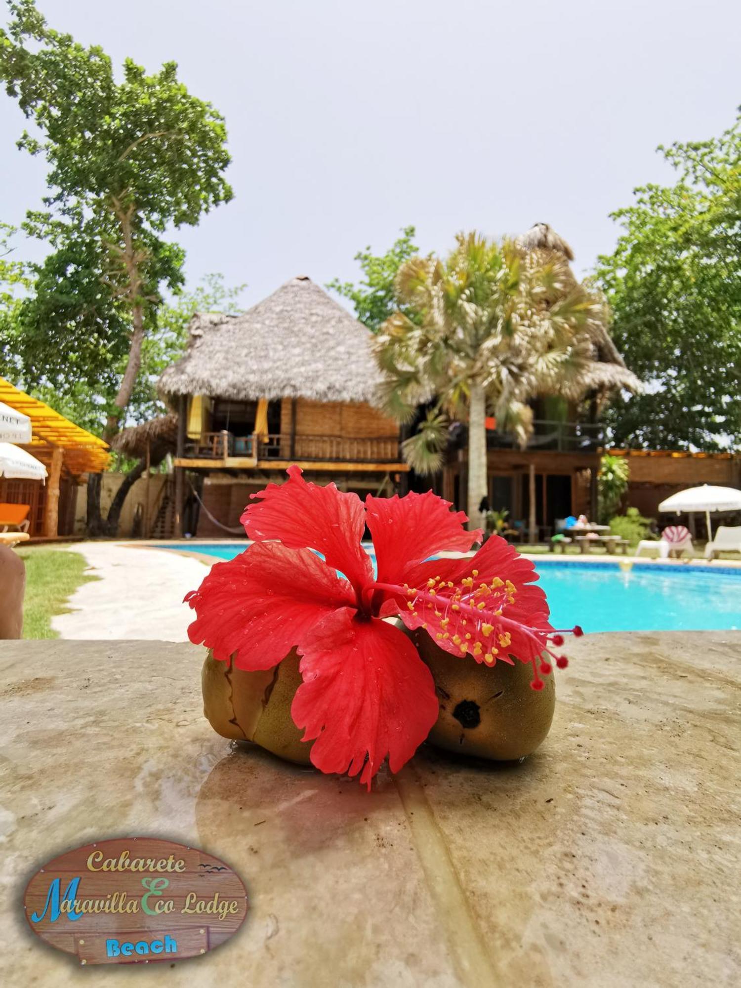 Beach Cabarete Ecolodge De Luxe Maravilla Encuentro Surf, Kite المظهر الخارجي الصورة